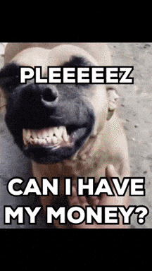 1of1 payout Money GIF
