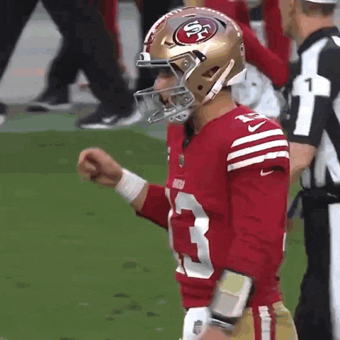 49ers Win GIF