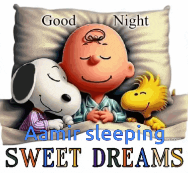 Aamir Shanu Aamir Ahmed GIF