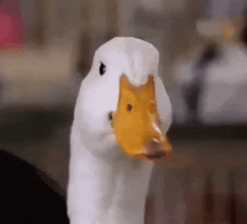 Aflac Duck Nodding GIF