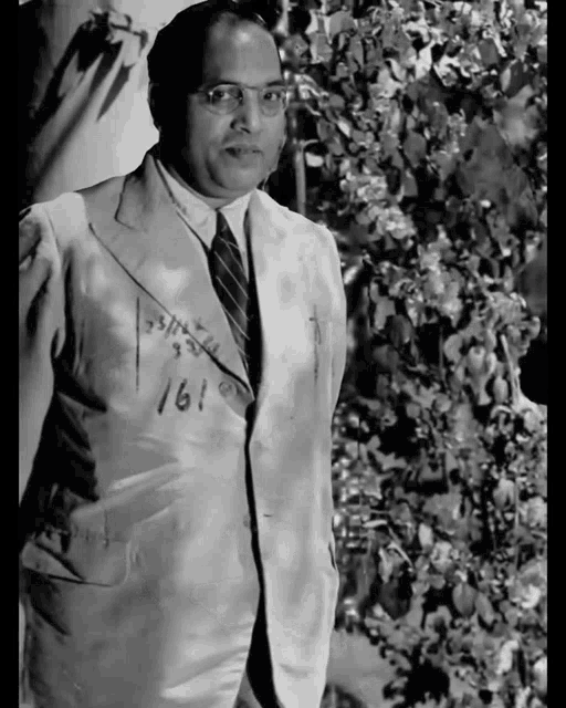 Ambedkar GIF