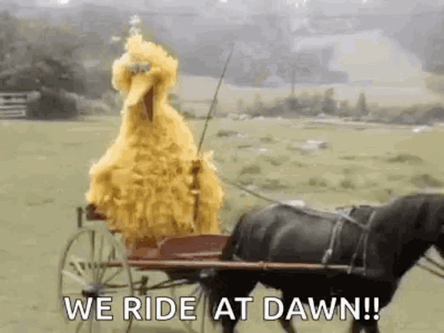 At Dawn We Ride GIF