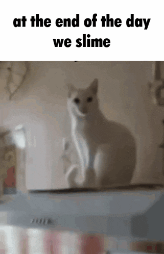 At The End Of The Day We Slime Cat Handshake GIF