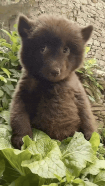 Awkward Meme GIF