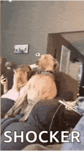 Awkward Shocked GIF
