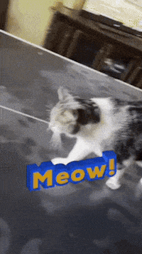 Aww So Cute Aww Shucks GIF