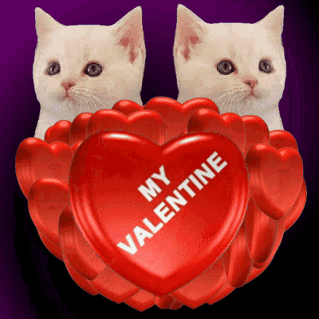 Be My Valentine GIF