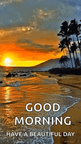 Beach Ocean GIF