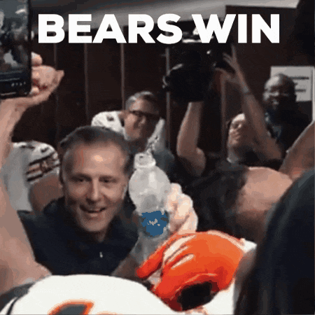 Bears Win Dwcprodz GIF