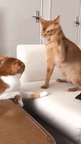 Beating Gif