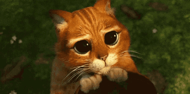 Begging GIF