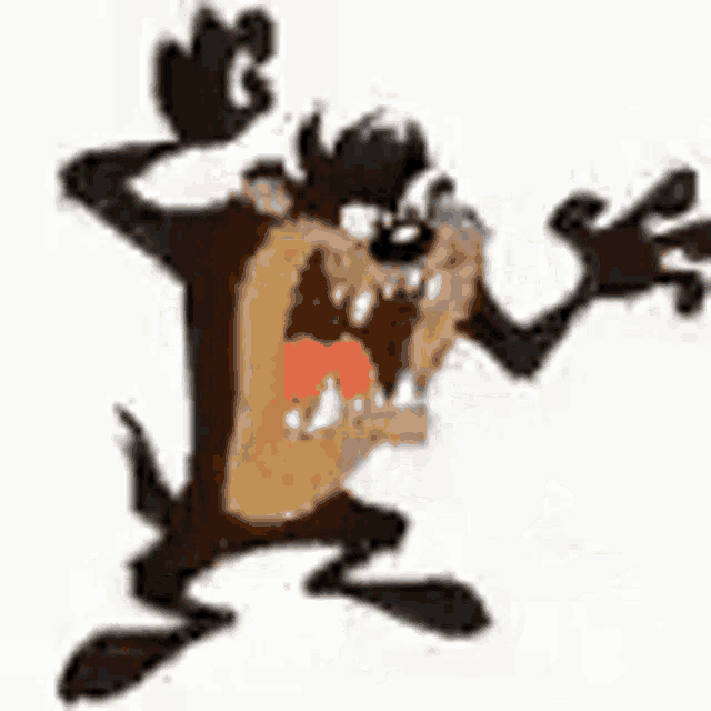 Bhuntar Tasmanian Devil GIF
