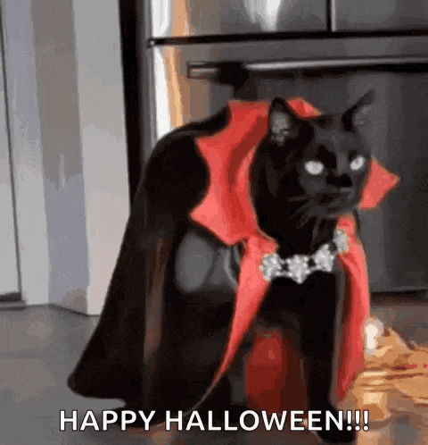 Black Cat Walk GIF