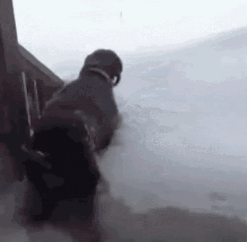 Blizzard GIF