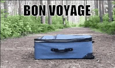 Bon Voyage GIF