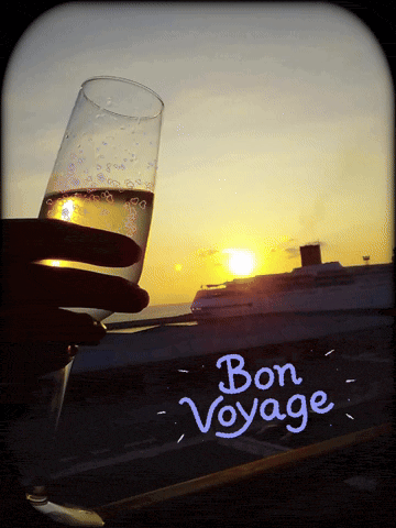 Bon Voyage Safe Travels GIF