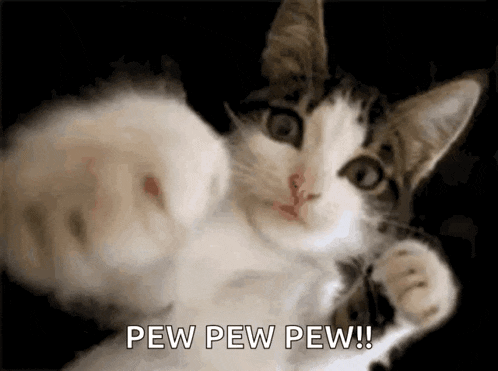 Boxer GIF