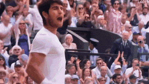Carlos Alcaraz GIF