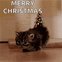 Cat Christmas Tree GIF