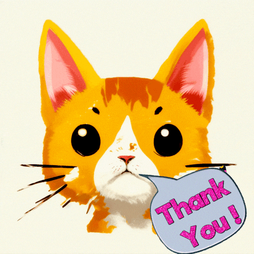 Cat Thank You GIF