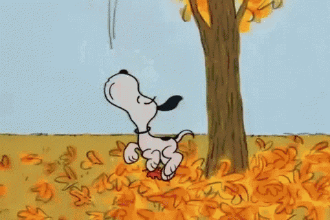 Charlie Brown GIF