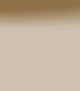 Chicken Jockey Hen Ryan And GIF