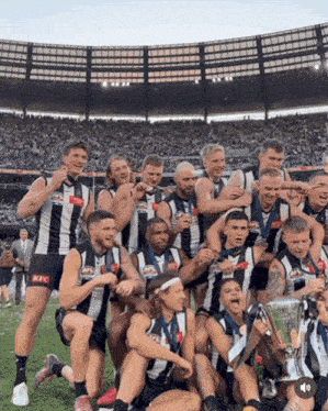 Collingwood GIF