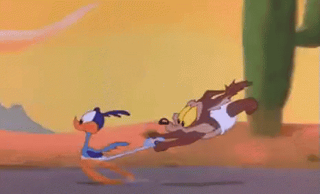 Coyote Roadrunner GIF