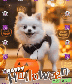Cute Dog Happy Halloween GIF
