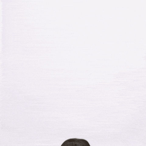 Cynthia Erivo Bob GIF