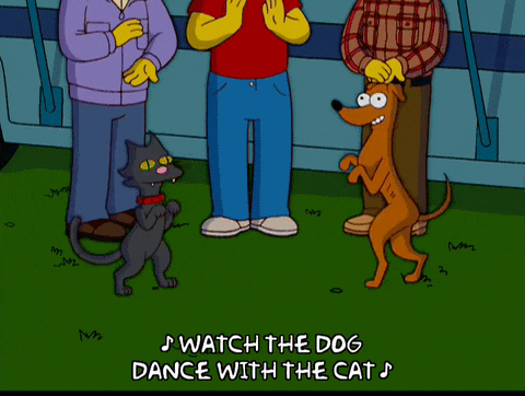 Dog And Cat Dancing GIF