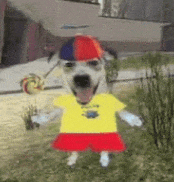 Dog With Lollipop GIF