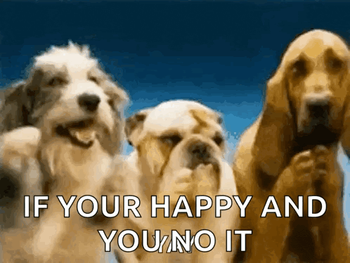 Dogs Clap GIF