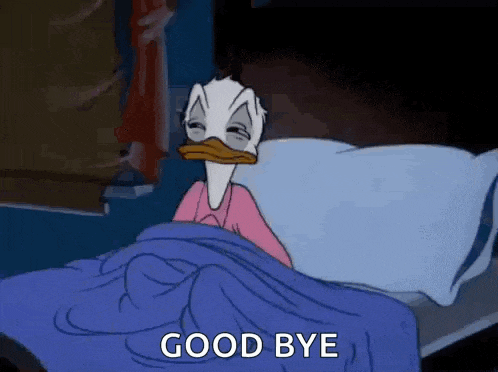 Donald Duck Sleep GIF