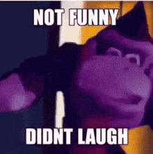 Donkey Kong Not Funny Didn'T Laugh GIF