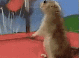 Dramatic Chipmunk GIF