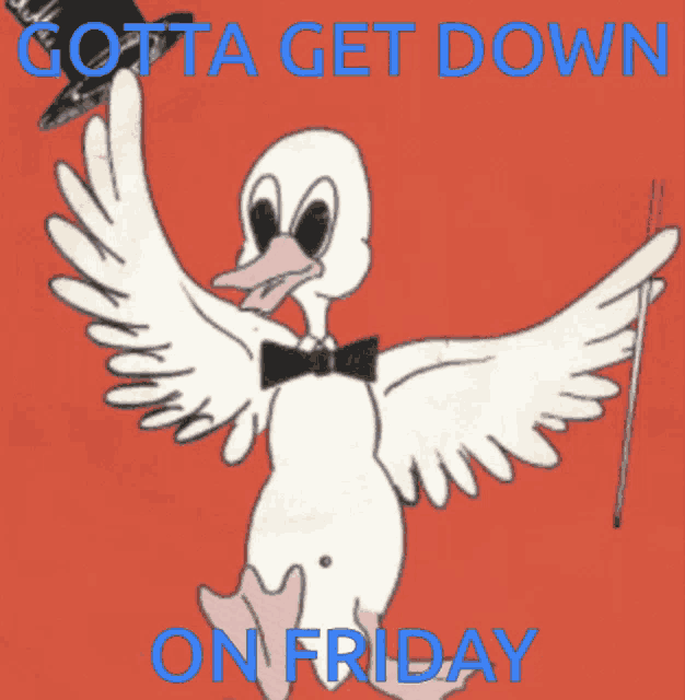 Duck Friday GIF
