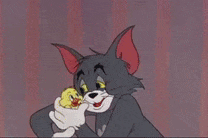Duckling Hug GIF