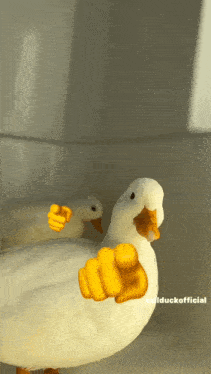 Ducks Are Laughing GIF