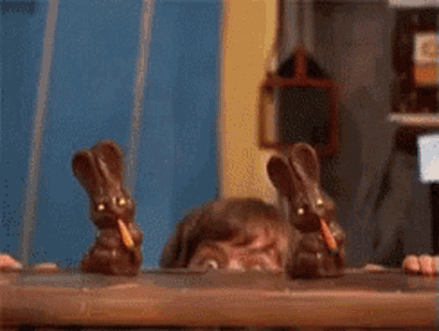 Easter Chocolate Bunnies GIF