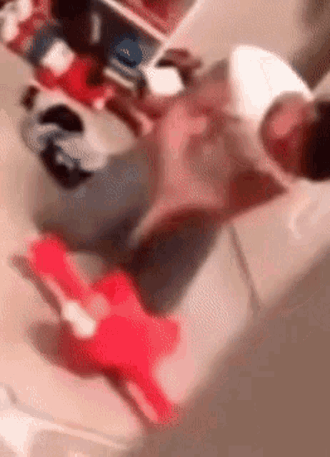 Elmo Getting Beaten Up GIF