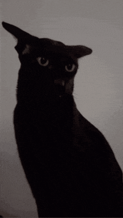 Evil Larry GIF