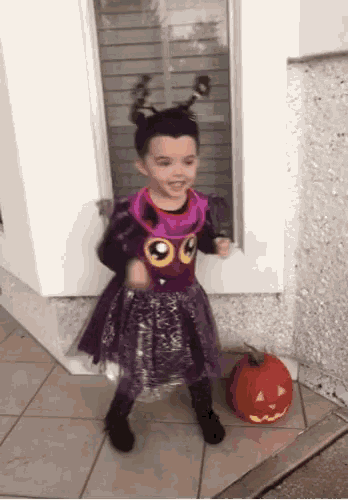 Excited Dance GIF