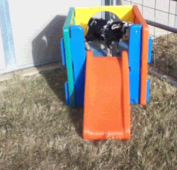 Fail Falling Down GIF