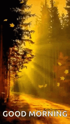 Fall GIF