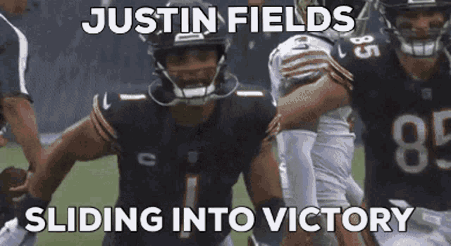 Fields Bears GIF