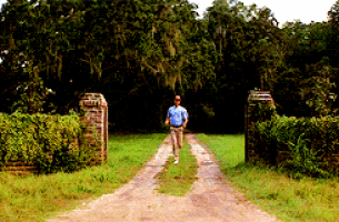 Forrest Gump Run GIF