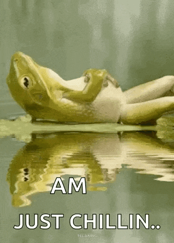 Frog Lily GIF