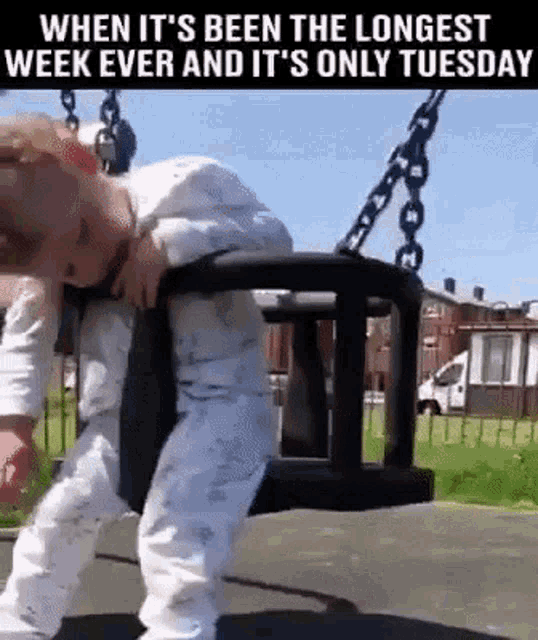Funny Tuesday GIF