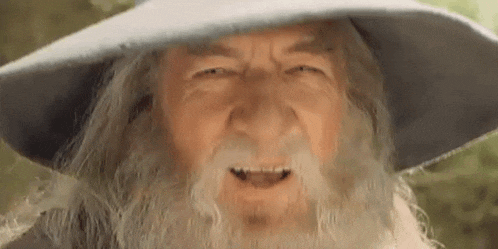 Gandalf Lord Of The Rings GIF